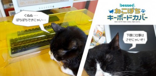 เรามาถึงจุดนี้ได้ยังไง…เมื่อบริษัทญี่ปุ่นผลิตอุปกรณ์ป้องกันคีย์บอร์ดจากแมว !!