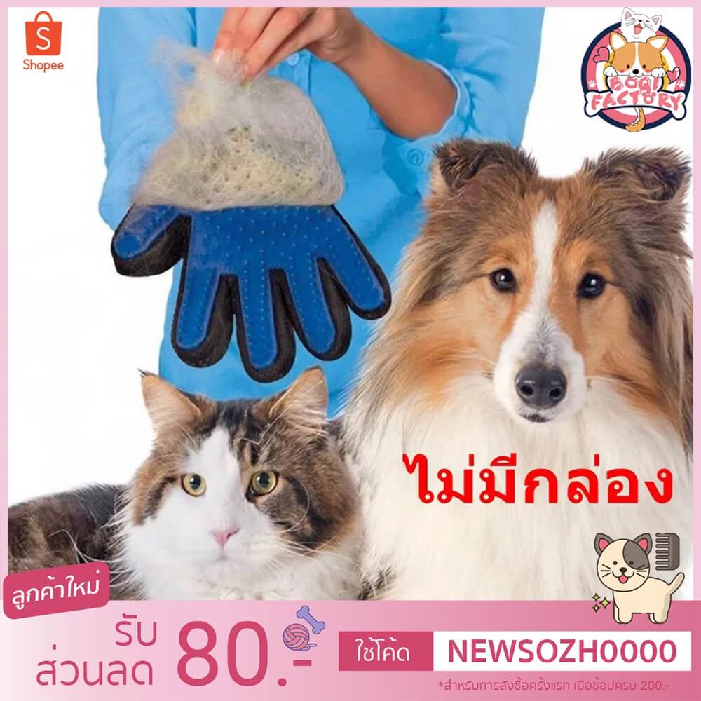 Bogi Factory ถุงมือแปรงขน ถุงมือรูดขนสัตว์ ถุงมือแปรงขนแมว