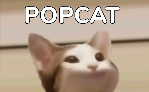 Pop Cat Statistics