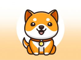 เหรียญ Baby Doge Coin คืออะไร