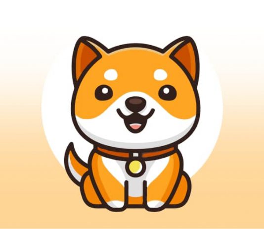 เหรียญ Baby Doge Coin คืออะไร กับความรู้เบื้องต้นที่นักลงทุนอาจจะไม่เคยทราบมาก่อน เหรียญ Baby Doge Coin คืออะไร