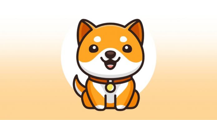 เหรียญ Baby Doge Coin คืออะไร