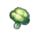 Broccoli บร็อคโคลี่