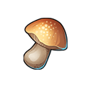 Mushroom เห็ด