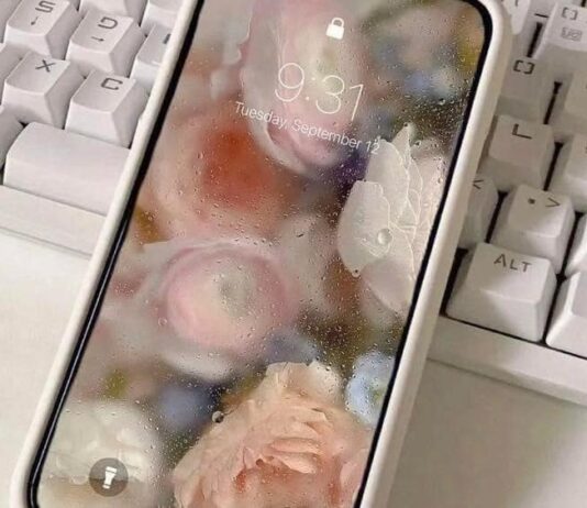 วอลเปเปอร์ภาพไวรัลที่ญี่ปุ่น