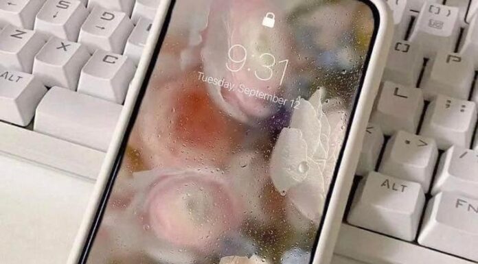 วอลเปเปอร์ภาพไวรัลที่ญี่ปุ่น