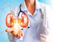 ไตขายได้ราคาเท่าไร ราคาอัพเดท 2024