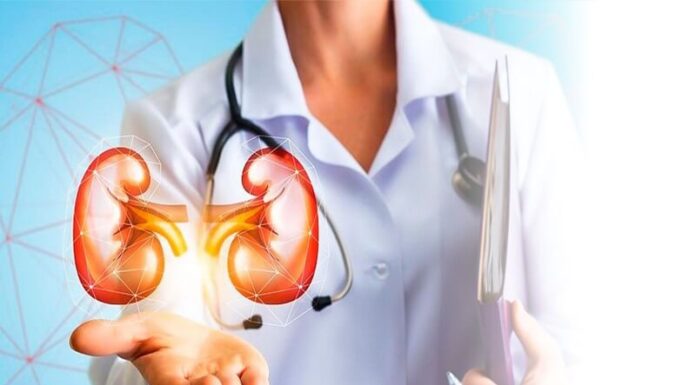 ไตขายได้ราคาเท่าไร ราคาอัพเดท 2024