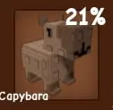 Capybara
