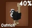 Ostrich
