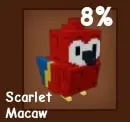 Scarlet Macaw