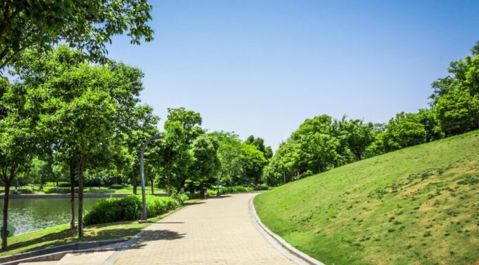 พื้นที่กิจกรรมของกรุงเทพ เปลี่ยนเมืองด้วยการออกแบบเพื่อผู้คน