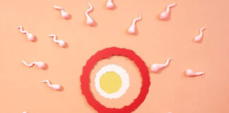 วางแผนมีลูก ตรวจความพร้อมเยื่อบุผนังมดลูกสำคัญแค่ไหน ? วางแผนมีลูก ตรวจความพร้อมเยื่อบุผนังมดลูกสำคัญแค่ไหน