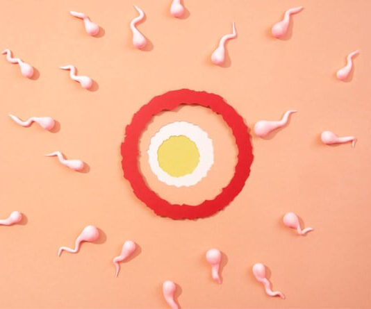 วางแผนมีลูก ตรวจความพร้อมเยื่อบุผนังมดลูกสำคัญแค่ไหน ? วางแผนมีลูก ตรวจความพร้อมเยื่อบุผนังมดลูกสำคัญแค่ไหน