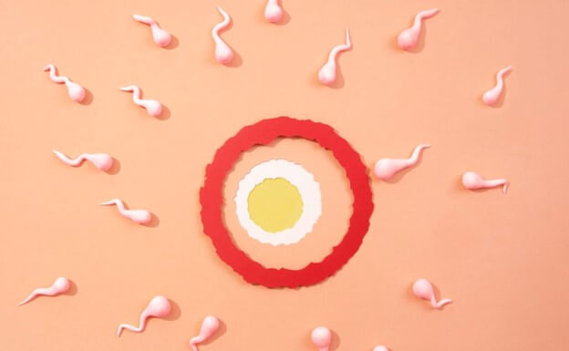 วางแผนมีลูก ตรวจความพร้อมเยื่อบุผนังมดลูกสำคัญแค่ไหน