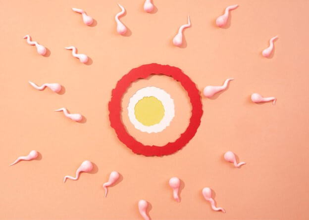 วางแผนมีลูก ตรวจความพร้อมเยื่อบุผนังมดลูกสำคัญแค่ไหน