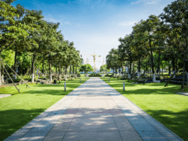 ศูนย์รวมกิจกรรมใจกลางเมือง