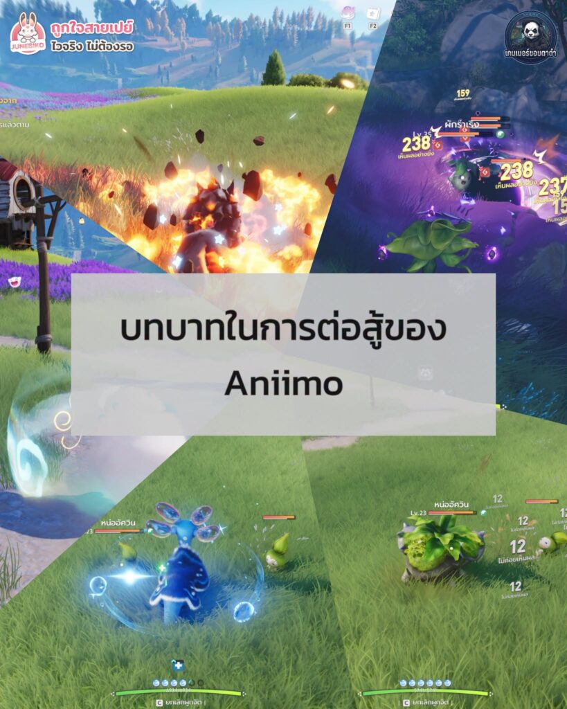 บทบาทในการต่อสู้ของ Aniimo มีอะไรบ้าง