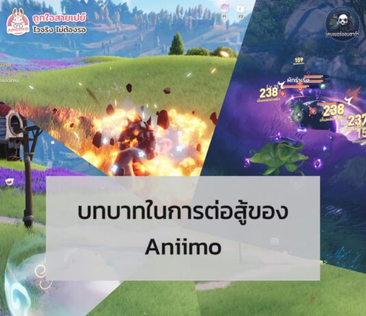 บทบาทในการต่อสู้ของ Aniimo มีอะไรบ้าง บทบาทในการต่อสู้ของ Aniimo มีอะไรบ้าง
