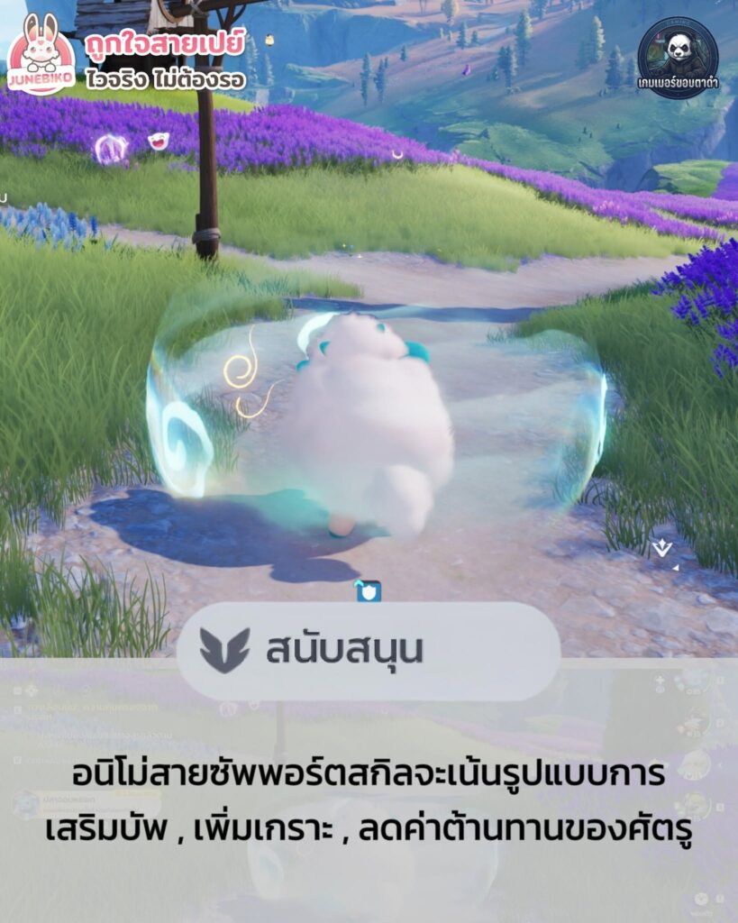 บทบาทในการต่อสู้ของ Aniimo มีอะไรบ้าง