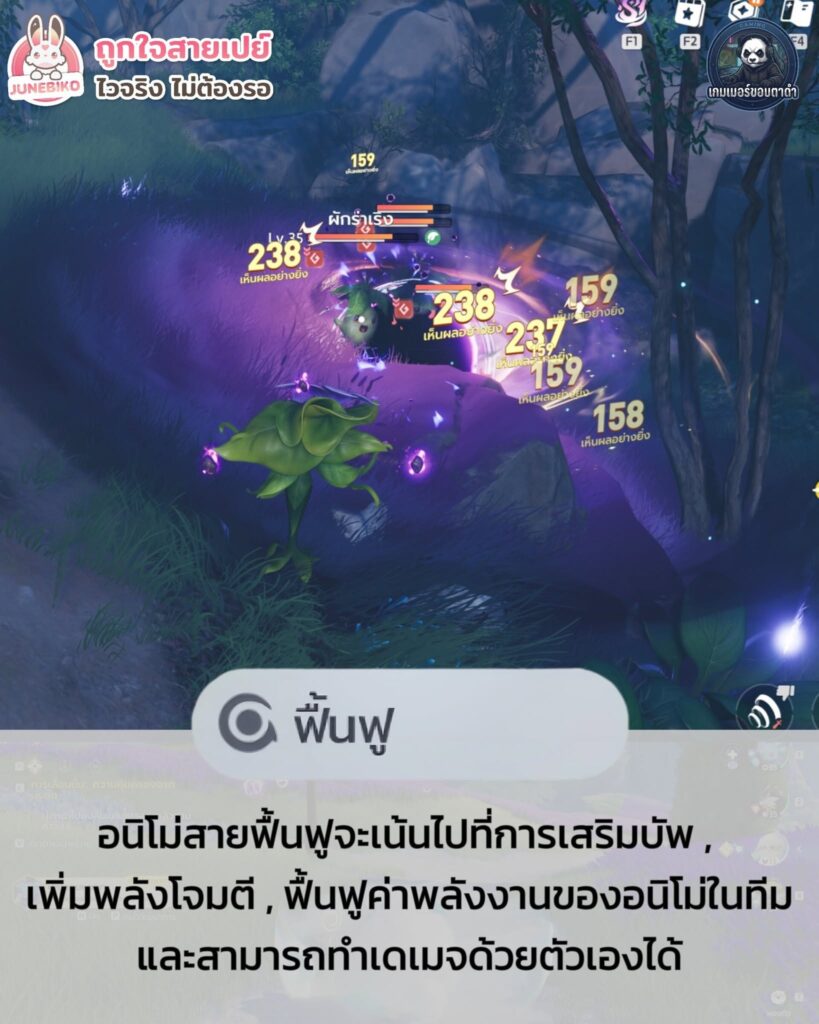 บทบาทในการต่อสู้ของ Aniimo มีอะไรบ้าง