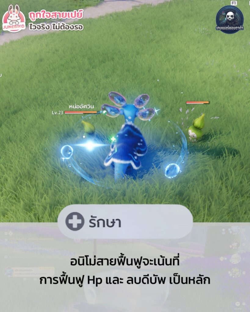 บทบาทในการต่อสู้ของ Aniimo มีอะไรบ้าง