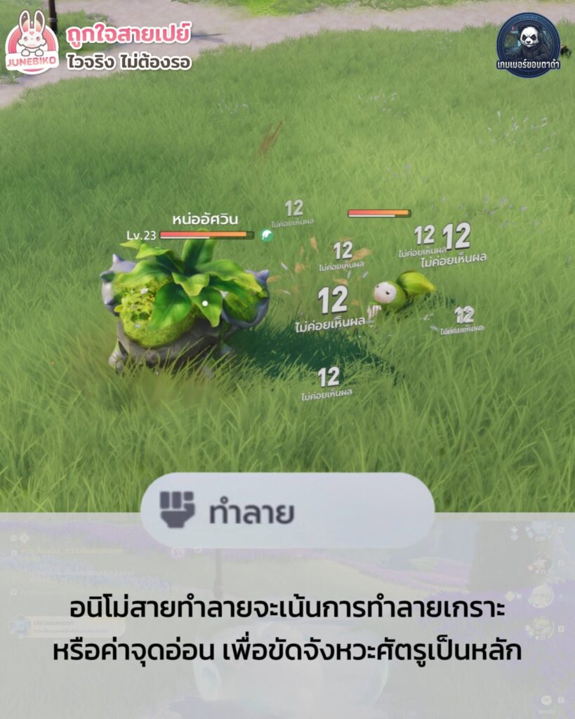 บทบาทในการต่อสู้ของ Aniimo มีอะไรบ้าง