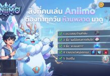 สิ่งที่คนเล่น Aniimo ต้องทำทุกวัน ห้ามพลาด มาดู